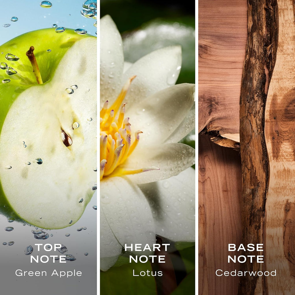 Nautica Voyage Eau De Toilette, Cologne and Fragrance For Men, Fresh, Romantic, Fruity Scent Woody, Aquatic Notes of Apple, Water Lotus, Cedarwood, and Musk Ideal Day Wear, Long Lasting 3.3Fl oz